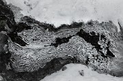 Ice Strata 17-1582